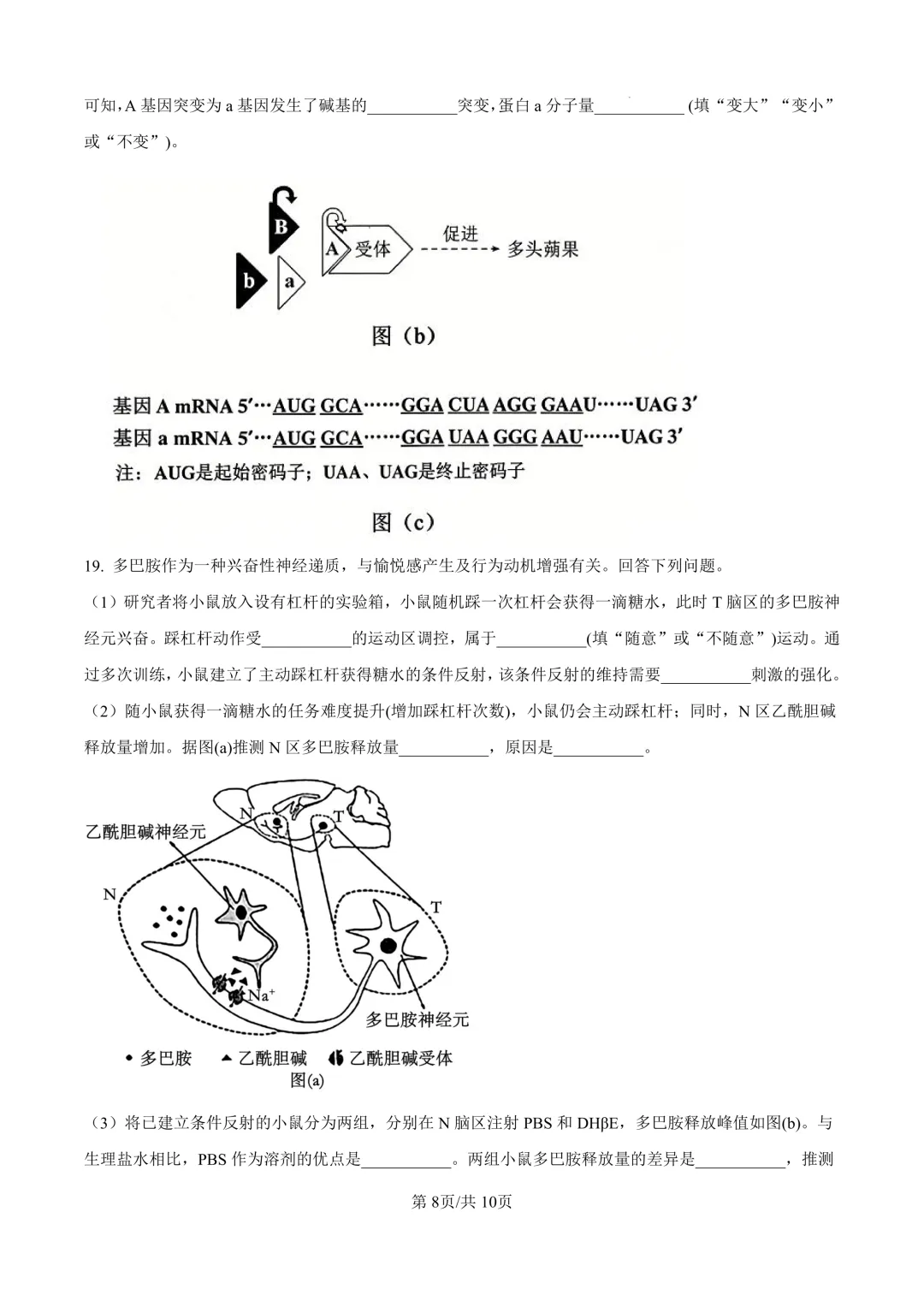 【高考真题】2026年山西高考真题-生物(陕晋青宁卷)-第9张图片-四季读书网 【高考真题】2026年山西高考真题-生物(陕晋青宁卷)-第9张图片-四季读书网