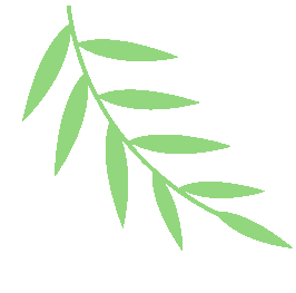 中考出分倒计时!多一个准备,多一份选择,给孩子提前择校有优势-第6张图片-四季读书网