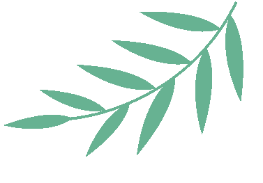中考出分倒计时!多一个准备,多一份选择,给孩子提前择校有优势-第7张图片-四季读书网