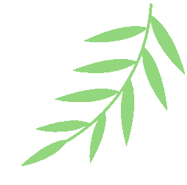 中考出分倒计时!多一个准备,多一份选择,给孩子提前择校有优势-第11张图片-四季读书网