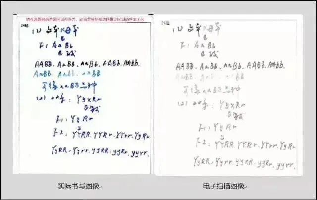 南京中考阅卷完整攻略,避免无谓丢分-第27张图片-四季读书网 南京中考阅卷完整攻略,避免无谓丢分-第27张图片-四季读书网