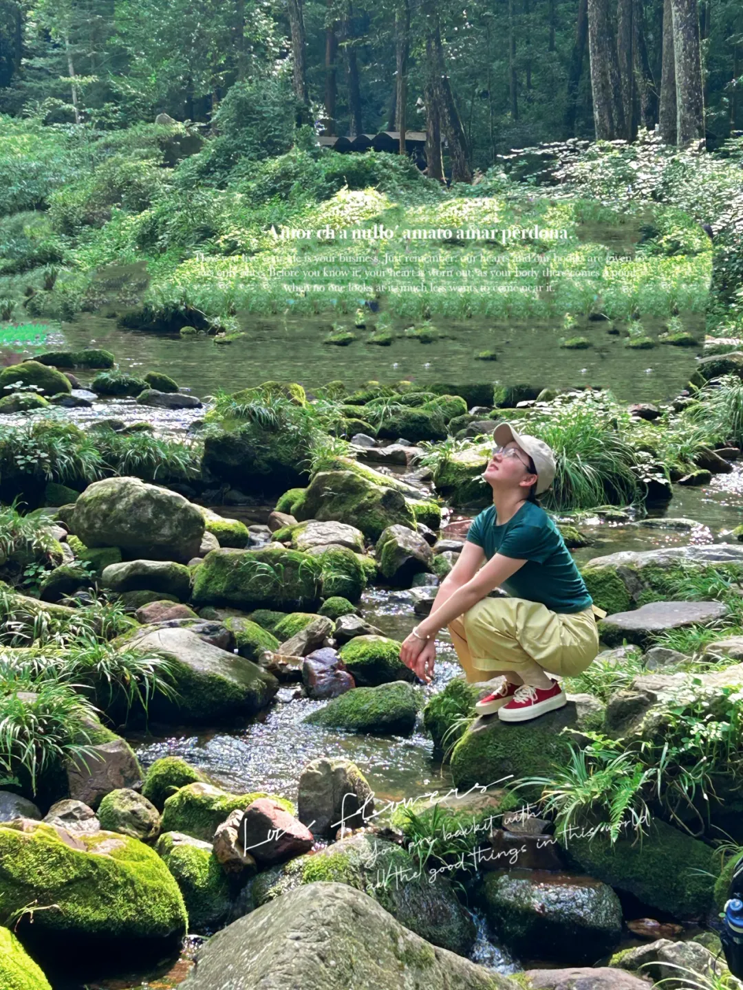【泾畔风吟】中考特辑——蝉鸣起时,少年已成光-第2张图片-四季读书网 【泾畔风吟】中考特辑——蝉鸣起时,少年已成光-第2张图片-四季读书网