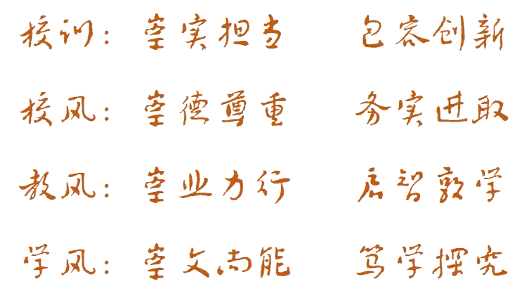 【泾畔风吟】中考特辑——蝉鸣起时,少年已成光-第6张图片-四季读书网 【泾畔风吟】中考特辑——蝉鸣起时,少年已成光-第6张图片-四季读书网