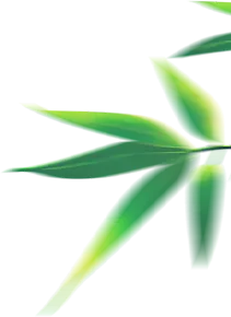 【景福物业】粽香迎端午,静音助中考!-第12张图片-四季读书网