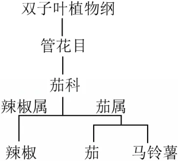 2026年山东省中考生物试卷 真题-第2张图片-四季读书网 2026年山东省中考生物试卷 真题-第2张图片-四季读书网