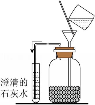 2026年山东省中考生物试卷 真题-第6张图片-四季读书网 2026年山东省中考生物试卷 真题-第6张图片-四季读书网
