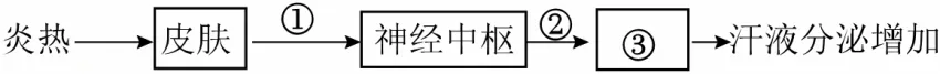 2026年山东省中考生物试卷 真题-第9张图片-四季读书网 2026年山东省中考生物试卷 真题-第9张图片-四季读书网