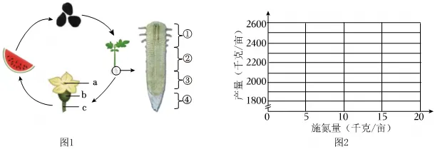 2026年山东省中考生物试卷 真题-第13张图片-四季读书网 2026年山东省中考生物试卷 真题-第13张图片-四季读书网