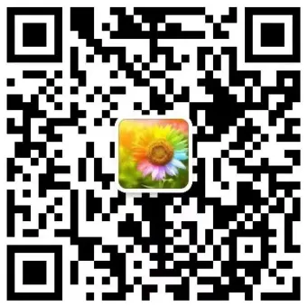 【中考真题】2026年全国各省市中考道德与法治真题(合集)更新中-第2张图片-四季读书网 【中考真题】2026年全国各省市中考道德与法治真题(合集)更新中-第2张图片-四季读书网