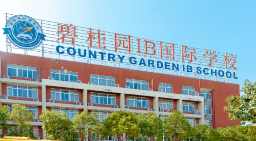 中考择校系列 | IB第二讲-南京主流学校介绍-第5张图片-四季读书网 中考择校系列 | IB第二讲-南京主流学校介绍-第5张图片-四季读书网