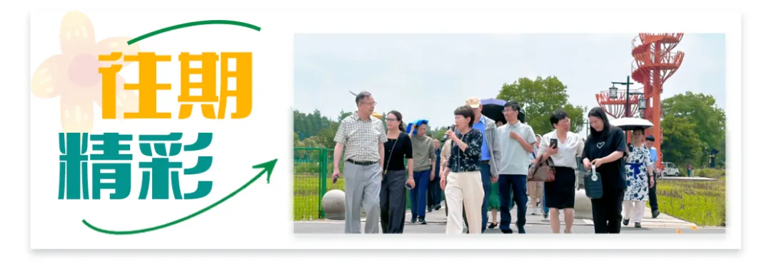 直击中考!盛夏逐梦启新程 同心护航中考路-第12张图片-四季读书网 直击中考!盛夏逐梦启新程 同心护航中考路-第12张图片-四季读书网