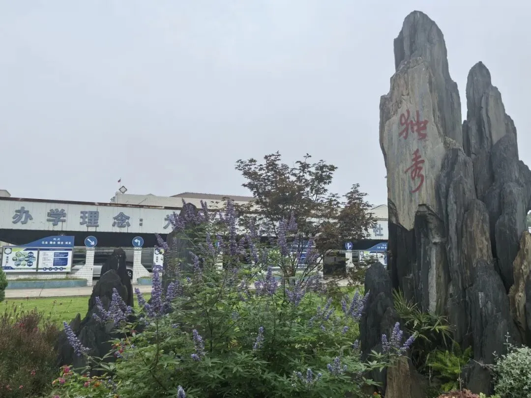 稳准狠——中考考后心理调适指南-第6张图片-四季读书网 稳准狠——中考考后心理调适指南-第6张图片-四季读书网