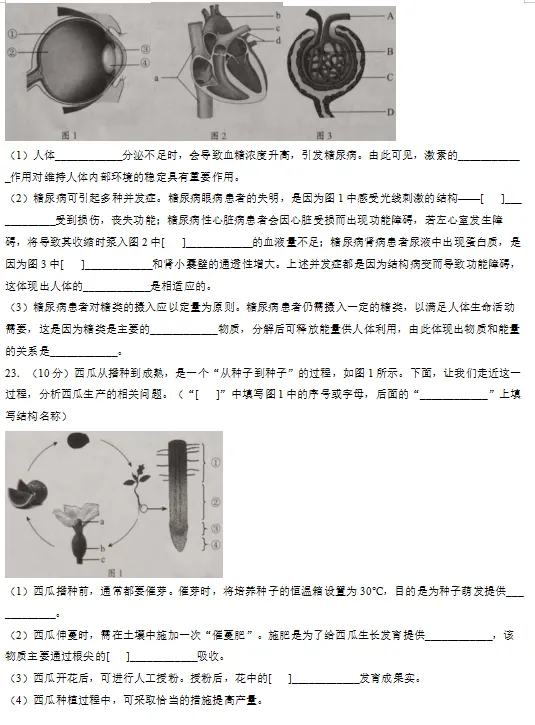2026山东中考「生物」真题!-第8张图片-四季读书网 2026山东中考「生物」真题!-第8张图片-四季读书网