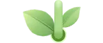 粽情端午,筑梦中考-第13张图片-四季读书网