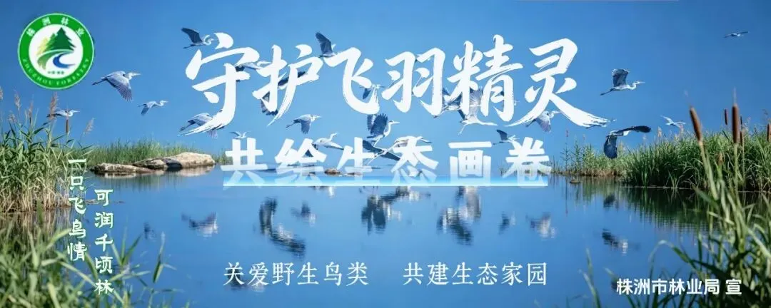 雷雨马上到株洲,中考端午要“泡汤”-第2张图片-四季读书网 雷雨马上到株洲,中考端午要“泡汤”-第2张图片-四季读书网