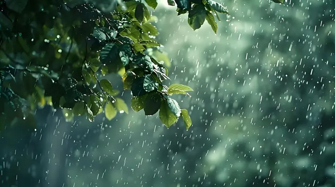 雷雨马上到株洲,中考端午要“泡汤”-第3张图片-四季读书网 雷雨马上到株洲,中考端午要“泡汤”-第3张图片-四季读书网