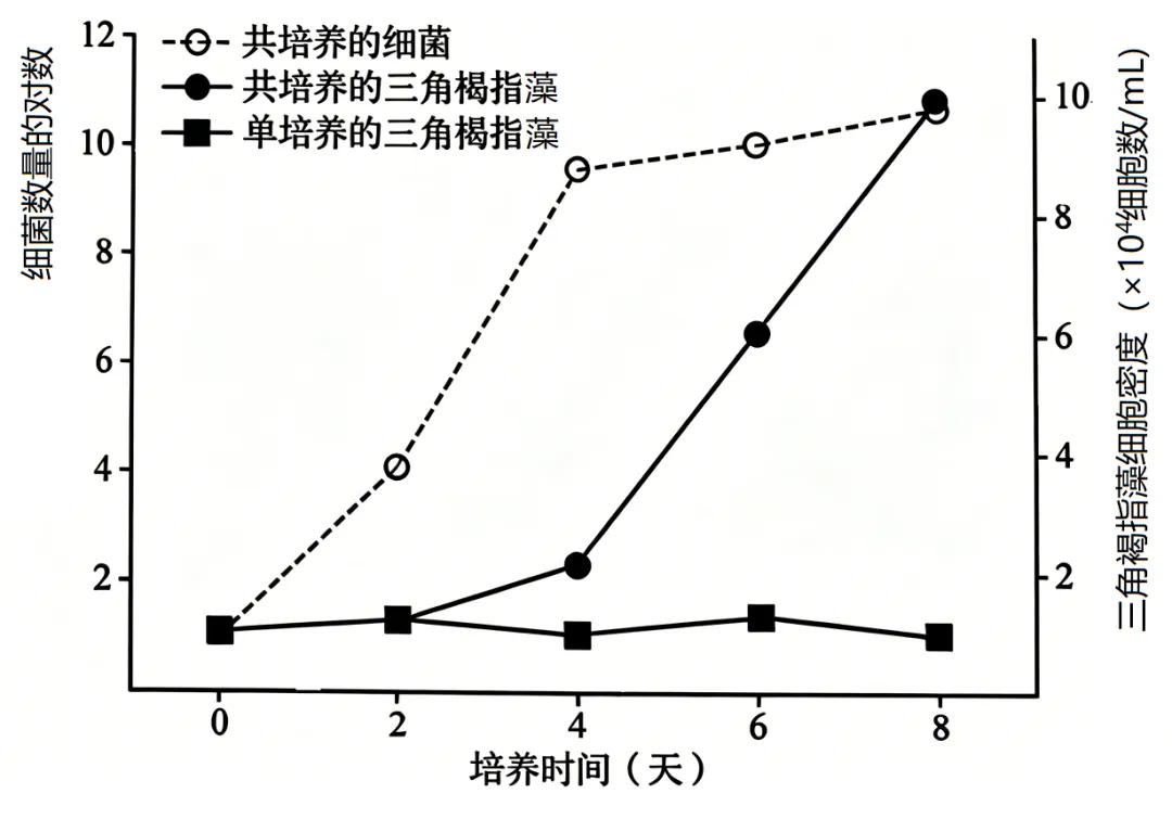 2026年高考黑吉辽蒙卷生物高考真题-第8张图片-四季读书网 2026年高考黑吉辽蒙卷生物高考真题-第8张图片-四季读书网