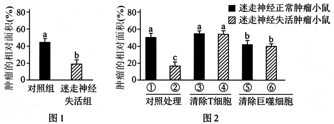 2026年高考黑吉辽蒙卷生物高考真题-第12张图片-四季读书网 2026年高考黑吉辽蒙卷生物高考真题-第12张图片-四季读书网