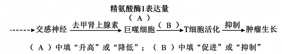 2026年高考黑吉辽蒙卷生物高考真题-第13张图片-四季读书网 2026年高考黑吉辽蒙卷生物高考真题-第13张图片-四季读书网