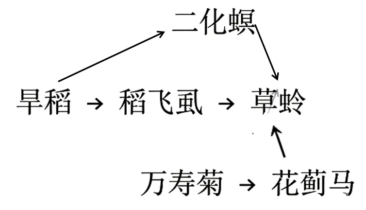 2026年高考黑吉辽蒙卷生物高考真题-第16张图片-四季读书网 2026年高考黑吉辽蒙卷生物高考真题-第16张图片-四季读书网