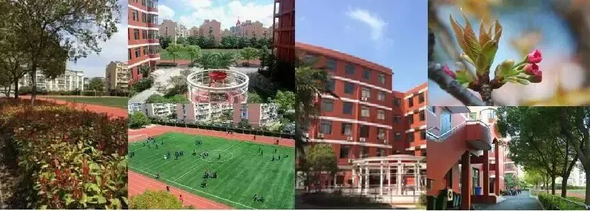 中考在即,这份“考前锦囊”请查收!陆行北校全体教职工及师生为你暖心护航-第43张图片-四季读书网 中考在即,这份“考前锦囊”请查收!陆行北校全体教职工及师生为你暖心护航-第43张图片-四季读书网