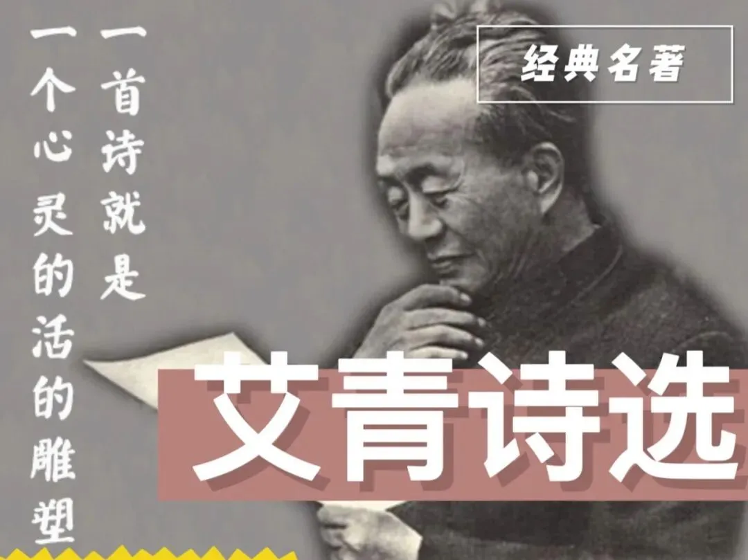 【中考阅读指导】青春与担当(综合性学习)广东东莞2026一模-第6张图片-四季读书网 【中考阅读指导】青春与担当(综合性学习)广东东莞2026一模-第6张图片-四季读书网