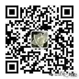 阮殿友||稍作停留(2026泰州市中考下水文)-第3张图片-四季读书网