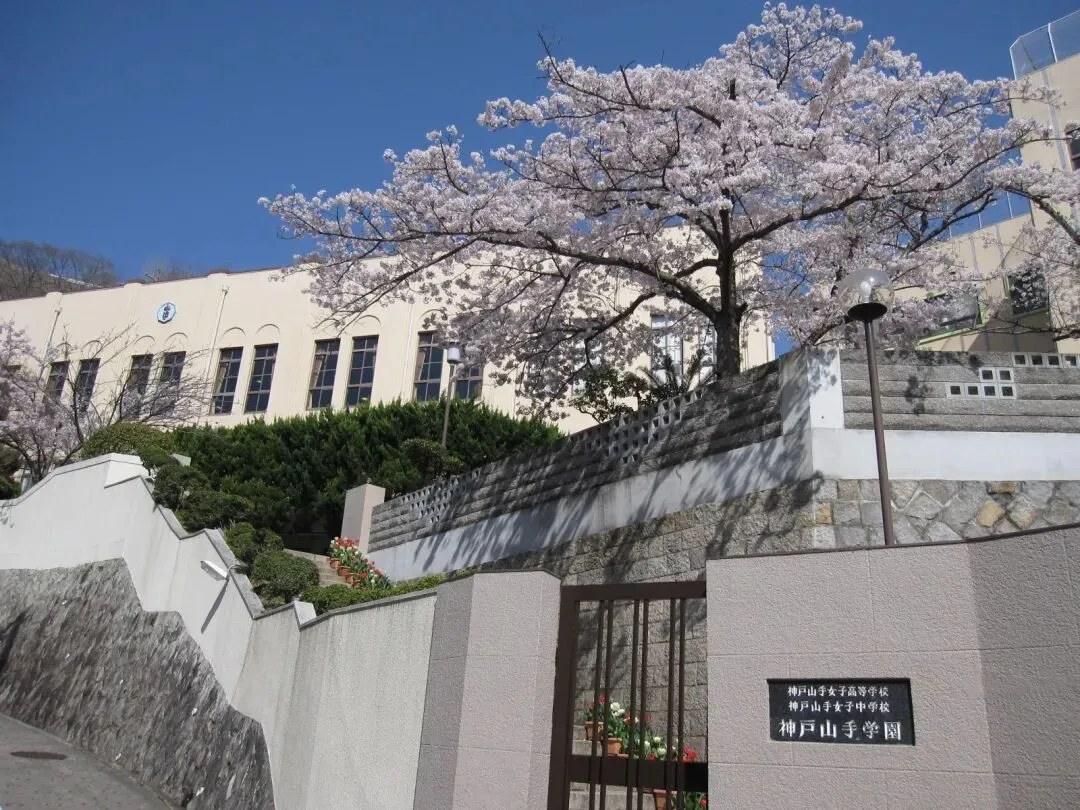中考后日本高中留学,怎么考?考什么?-第4张图片-四季读书网 中考后日本高中留学,怎么考?考什么?-第4张图片-四季读书网