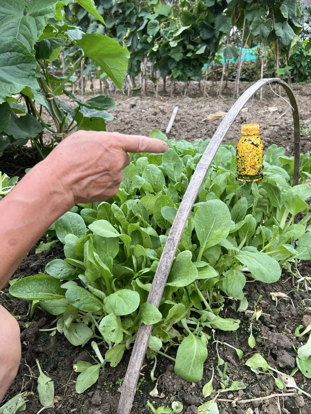 中考连着端午-第6张图片-四季读书网 中考连着端午-第6张图片-四季读书网