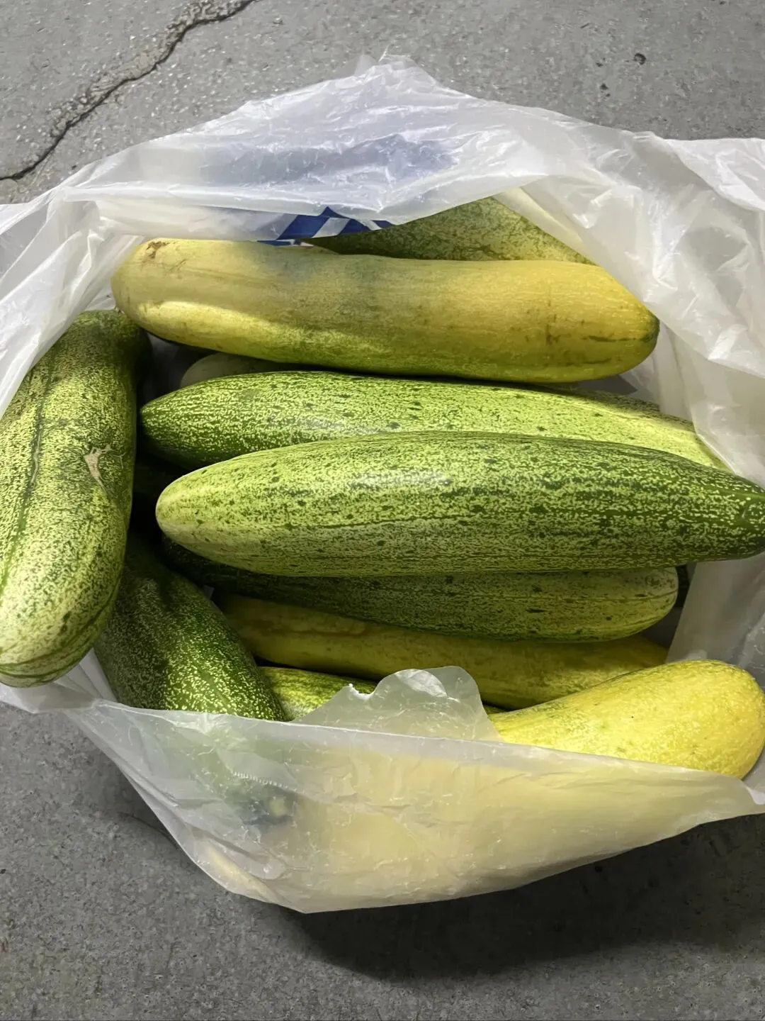 中考连着端午-第7张图片-四季读书网 中考连着端午-第7张图片-四季读书网