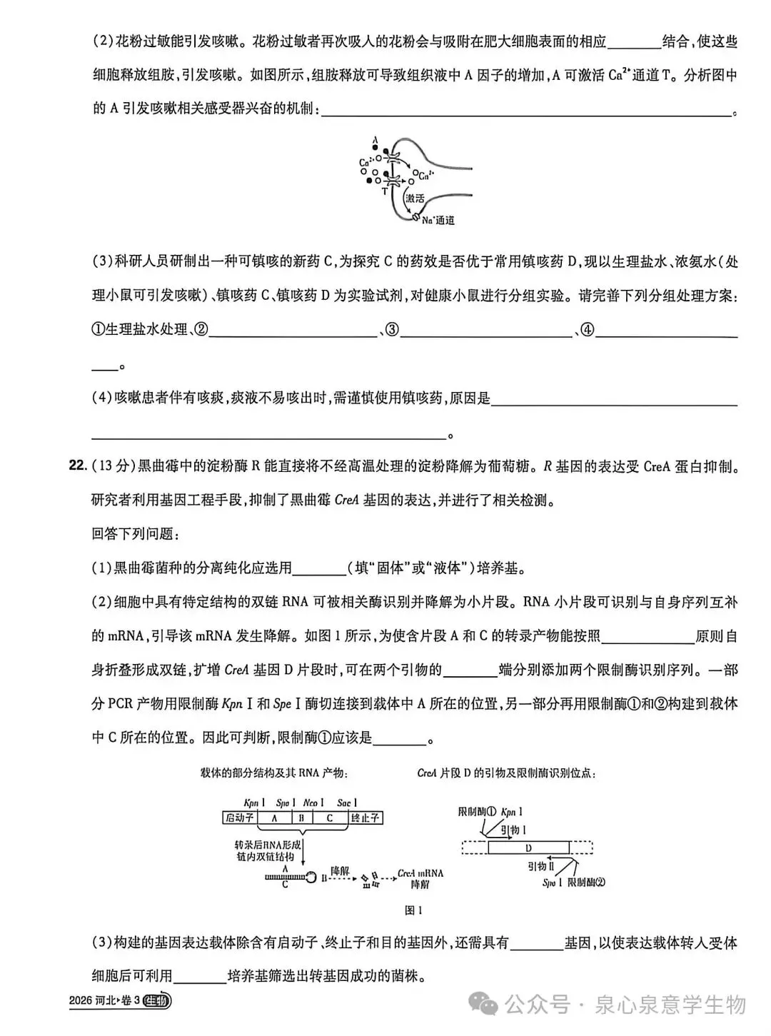 真题速递丨2026年河北省高考生物试题-第6张图片-四季读书网