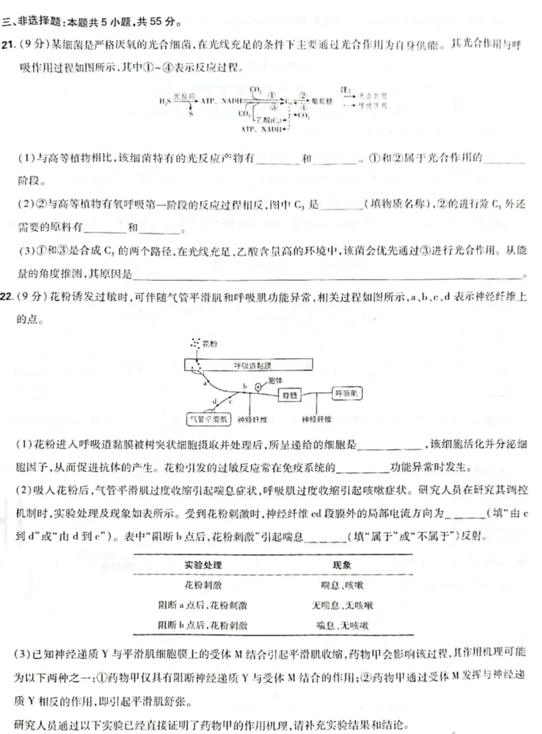 【高考真题】2026年普通高考生物试题(山东卷完整版)-第6张图片-四季读书网 【高考真题】2026年普通高考生物试题(山东卷完整版)-第6张图片-四季读书网