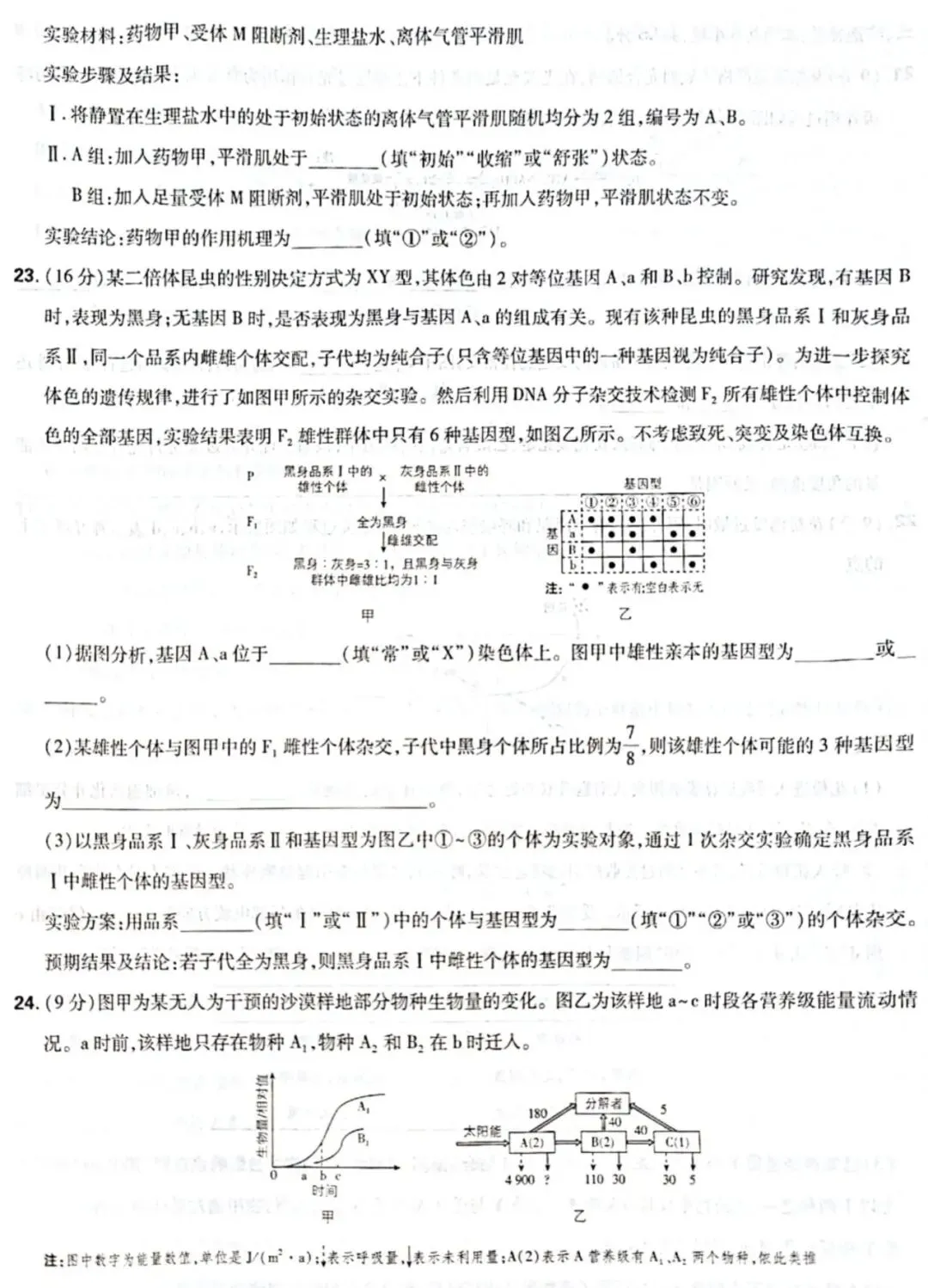 【高考真题】2026年普通高考生物试题(山东卷完整版)-第7张图片-四季读书网 【高考真题】2026年普通高考生物试题(山东卷完整版)-第7张图片-四季读书网