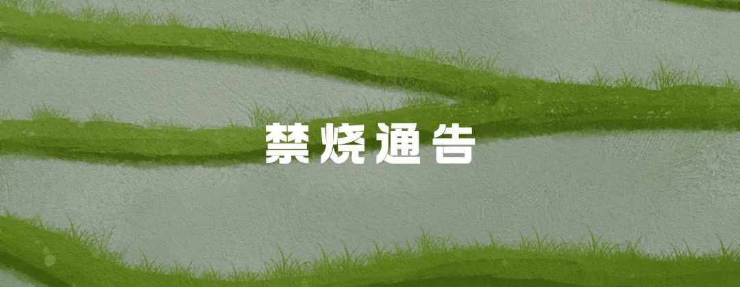 竹箦镇:接续发力,护航中考-第12张图片-四季读书网 竹箦镇:接续发力,护航中考-第12张图片-四季读书网