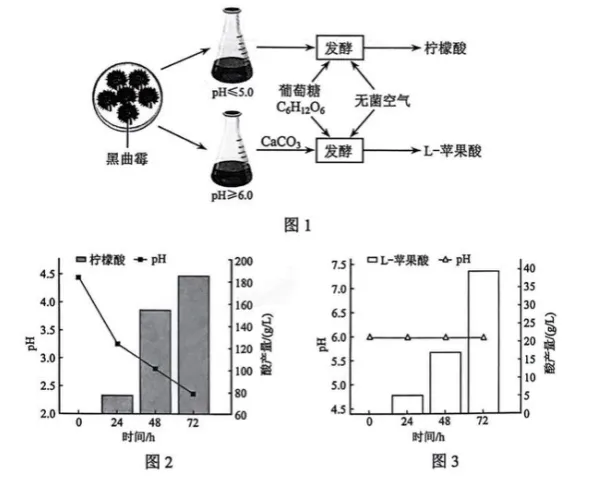 2026年云南省初中学业水平考试化学试卷分析(一)选择题专辑-第19张图片-四季读书网 2026年云南省初中学业水平考试化学试卷分析(一)选择题专辑-第19张图片-四季读书网