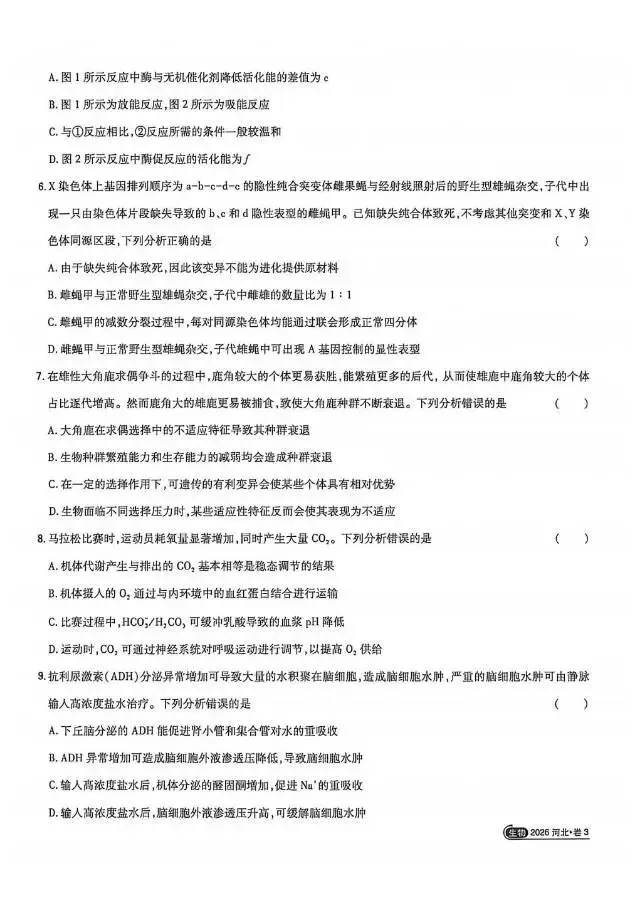 2026年河北省高考生物真题+参考答案+名师讲解-第2张图片-四季读书网