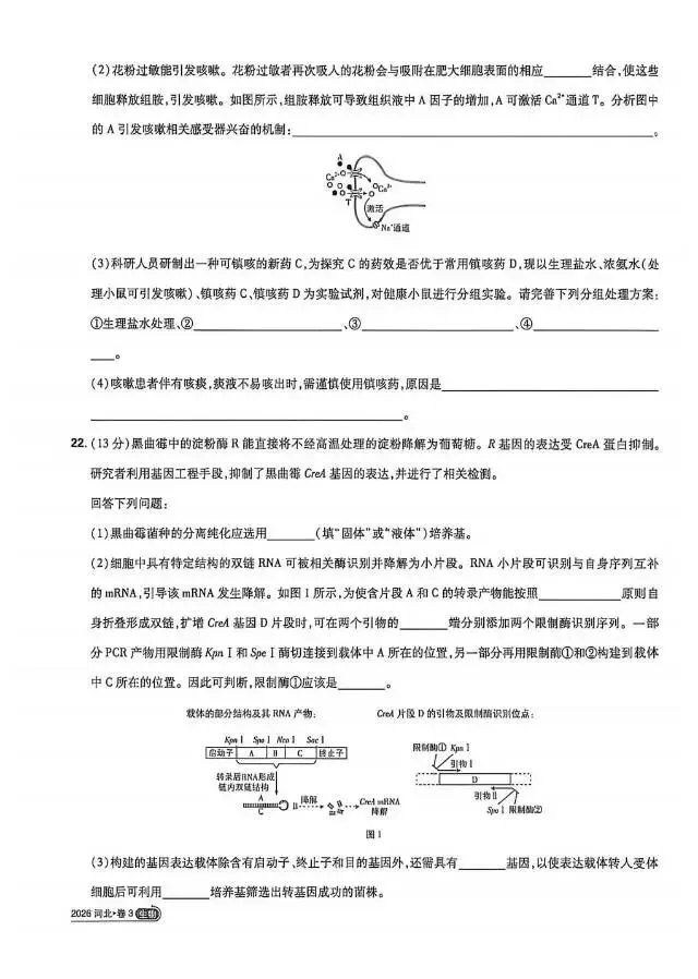 2026年河北省高考生物真题+参考答案+名师讲解-第7张图片-四季读书网