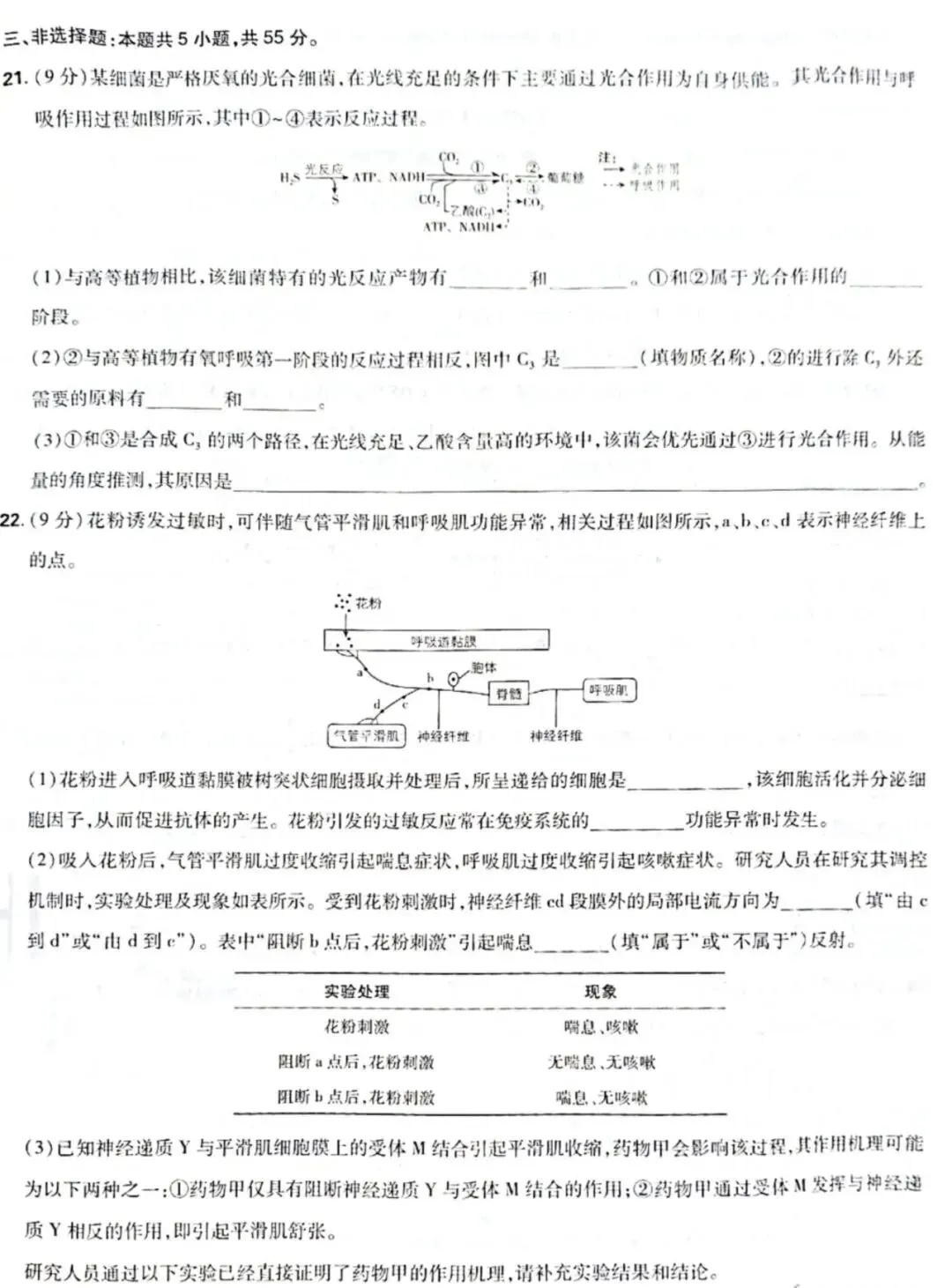 真题|2026山东卷生物(完整版)-第6张图片-四季读书网