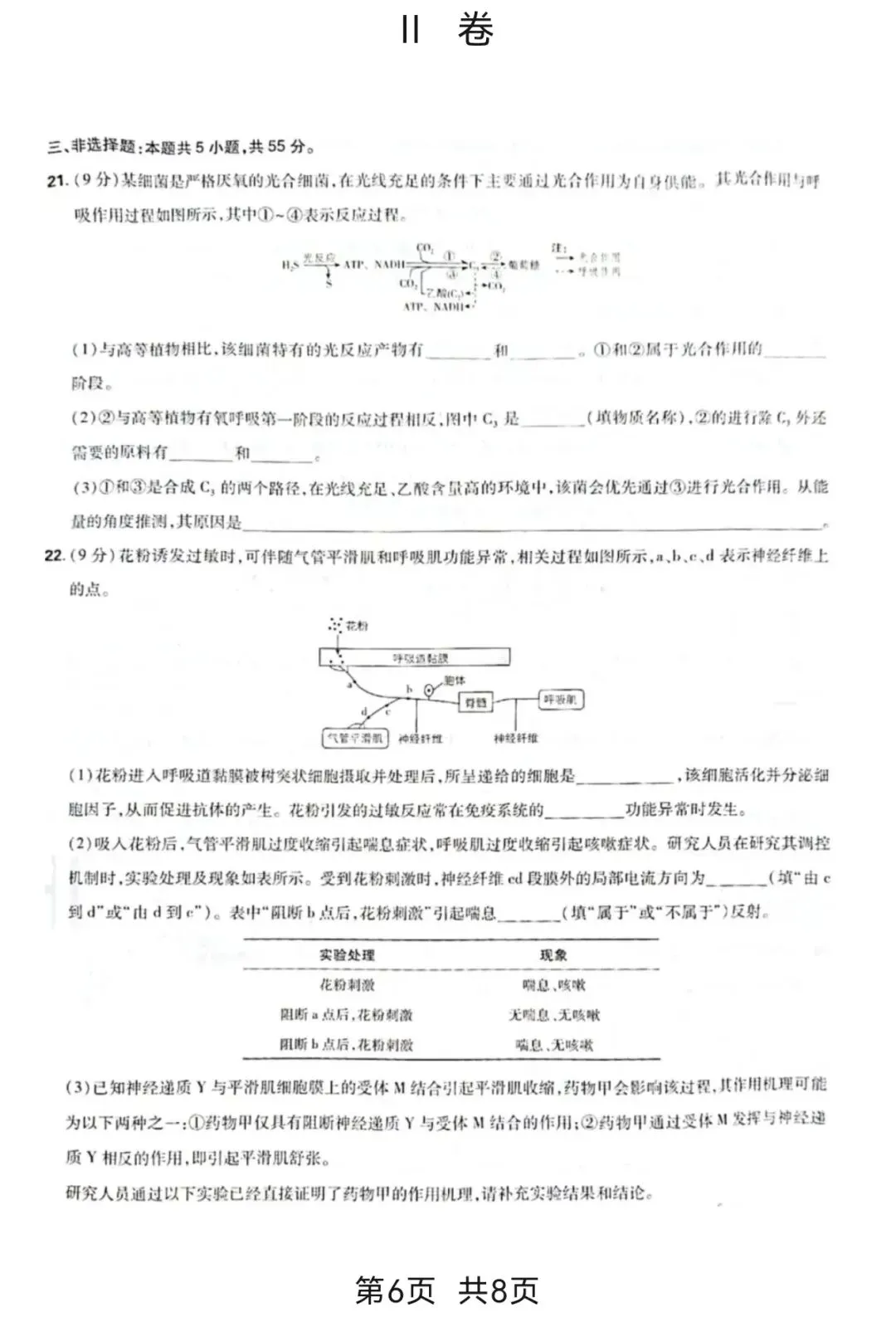 [高考真题]2026年山东省普通高中学业水平等级考试生物学-第7张图片-四季读书网