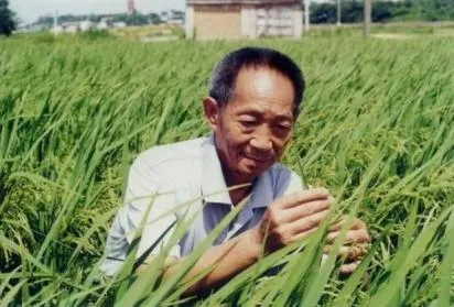 期末复习:八年级下学期期末调研历史试卷(六)-第7张图片-四季读书网