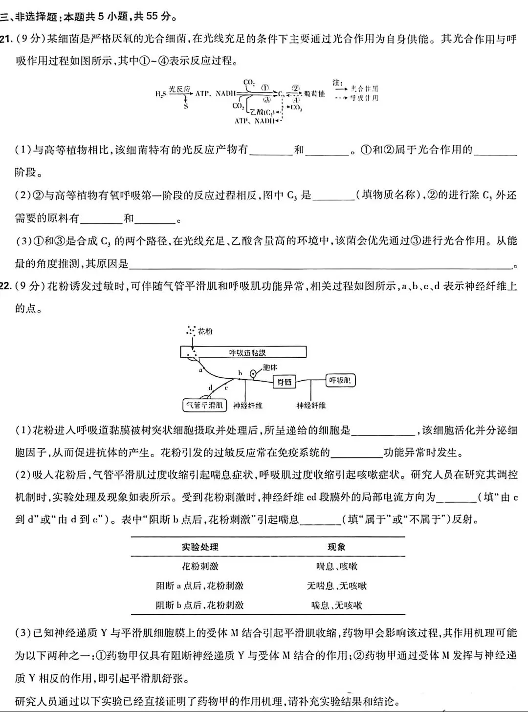 【高考真题】2026年山东卷(无答案)-第6张图片-四季读书网