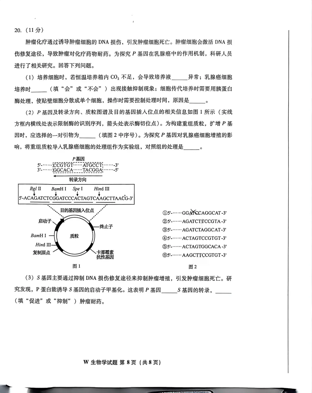 【2026高考真题】2026高考生物真题分享(安徽卷)-第9张图片-四季读书网