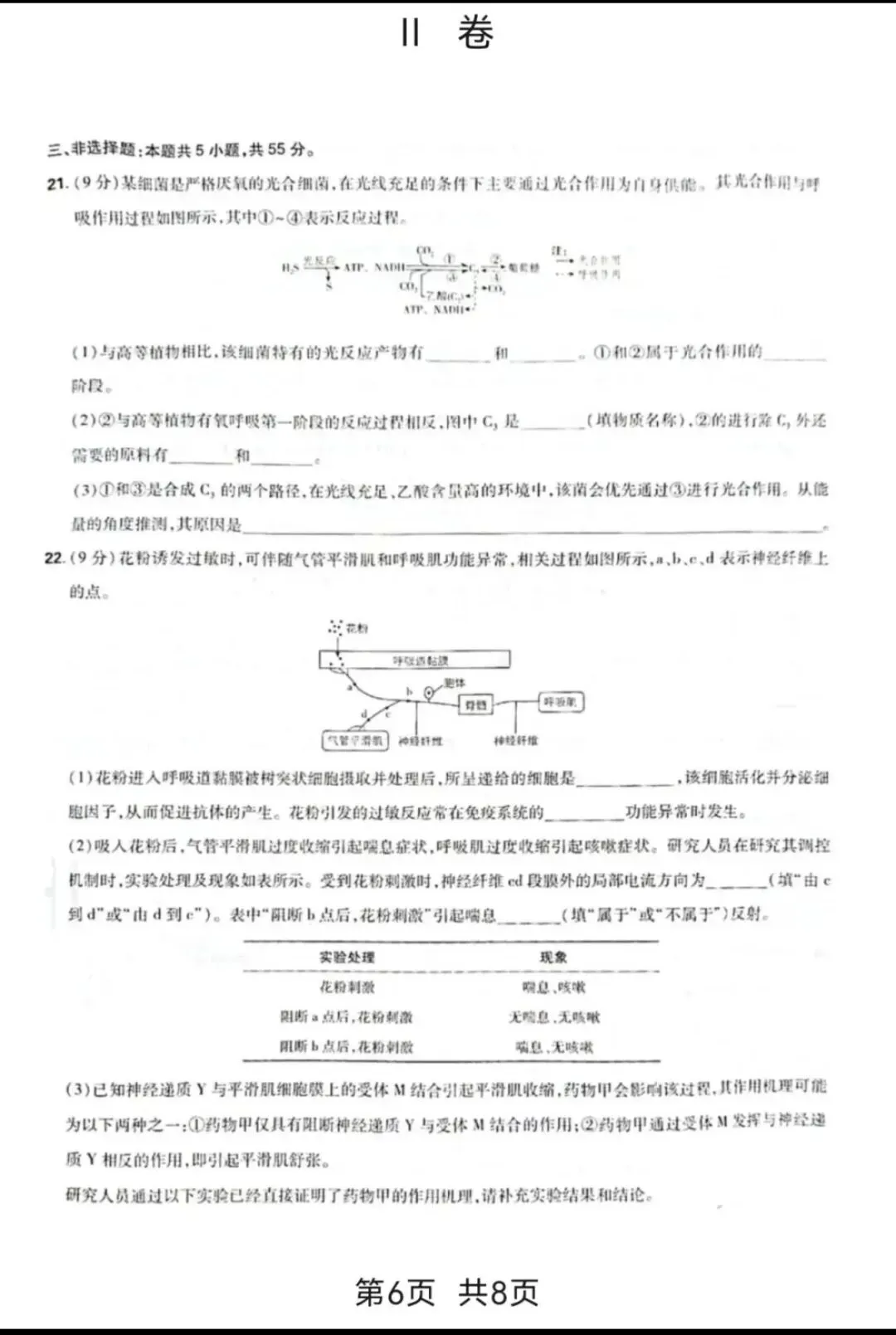 【高考真题】2026山东高考生物试题难不难?对答案-第7张图片-四季读书网