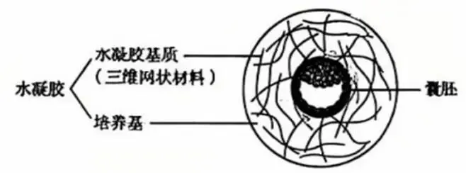 2026年黑吉辽蒙 生物学高考真题 文后附下载链接-第1张图片-四季读书网 2026年黑吉辽蒙 生物学高考真题 文后附下载链接-第1张图片-四季读书网