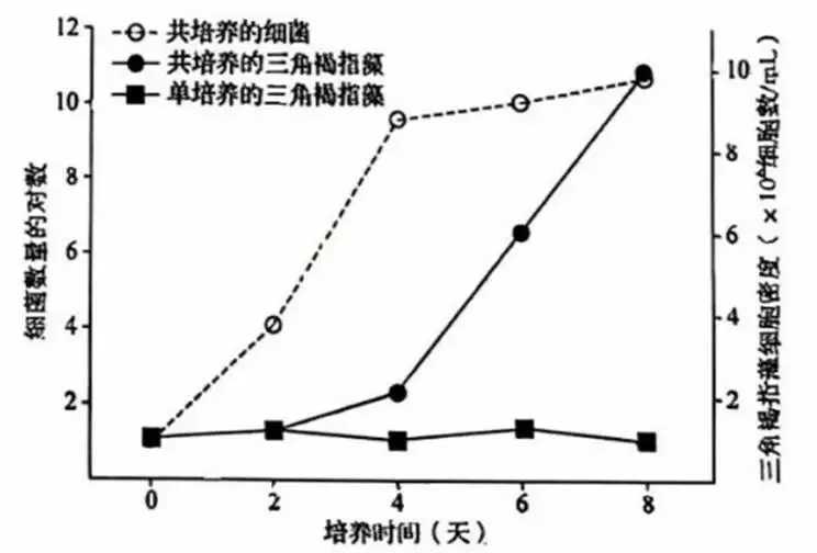 2026年黑吉辽蒙 生物学高考真题 文后附下载链接-第4张图片-四季读书网 2026年黑吉辽蒙 生物学高考真题 文后附下载链接-第4张图片-四季读书网