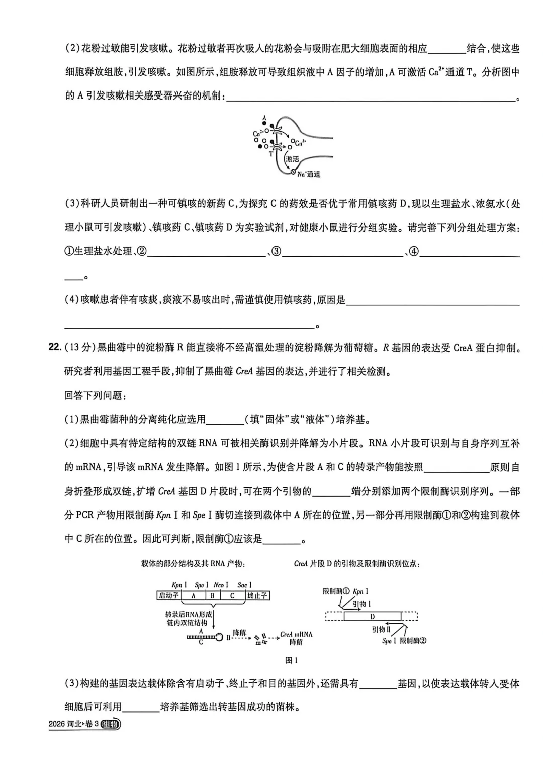 2026年高考生物真题丨河北卷-第7张图片-四季读书网