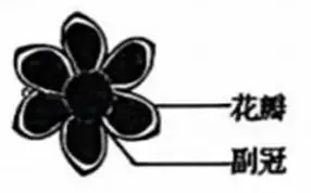 2026年黑吉辽蒙 生物学高考真题 文后附下载链接-第6张图片-四季读书网 2026年黑吉辽蒙 生物学高考真题 文后附下载链接-第6张图片-四季读书网