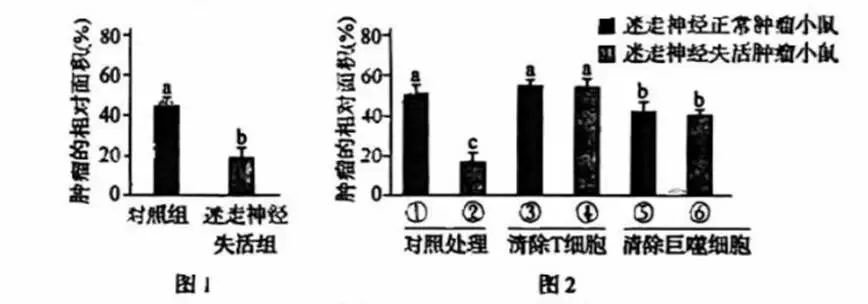2026年黑吉辽蒙 生物学高考真题 文后附下载链接-第8张图片-四季读书网 2026年黑吉辽蒙 生物学高考真题 文后附下载链接-第8张图片-四季读书网