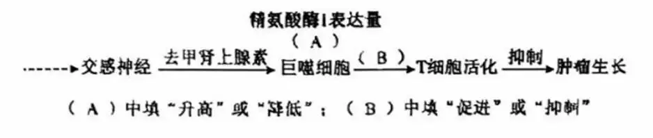 2026年黑吉辽蒙 生物学高考真题 文后附下载链接-第9张图片-四季读书网 2026年黑吉辽蒙 生物学高考真题 文后附下载链接-第9张图片-四季读书网