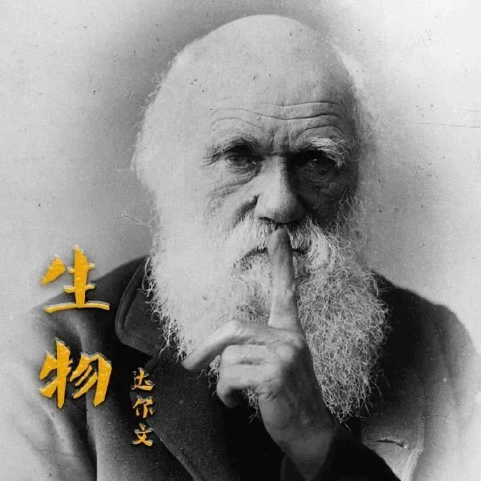 中考倒计时1天丨今天晚上做好这些,明天上高分-第8张图片-四季读书网 中考倒计时1天丨今天晚上做好这些,明天上高分-第8张图片-四季读书网